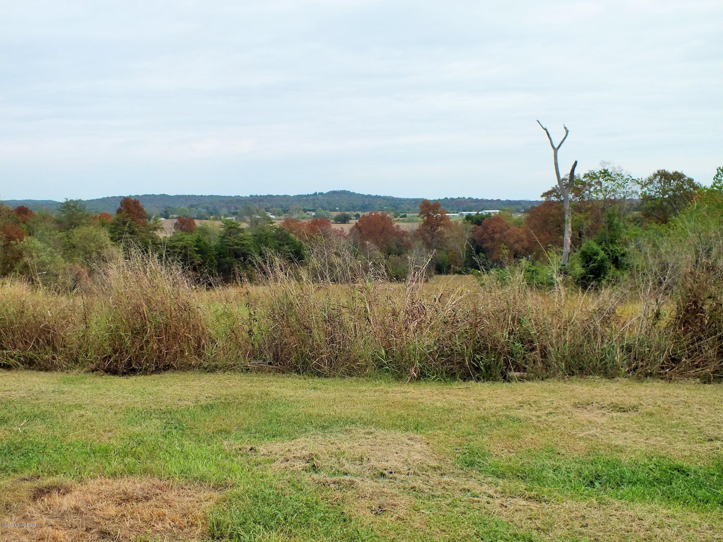 732 River Road Clarkson, KY 42726 - Photo 24 of 30 DSCF8901