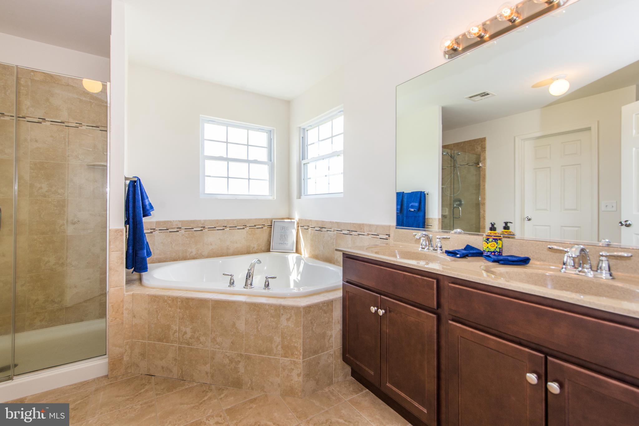 65 Island Road Columbus, NJ 08022 - Photo 24 of 39 Soaking tub