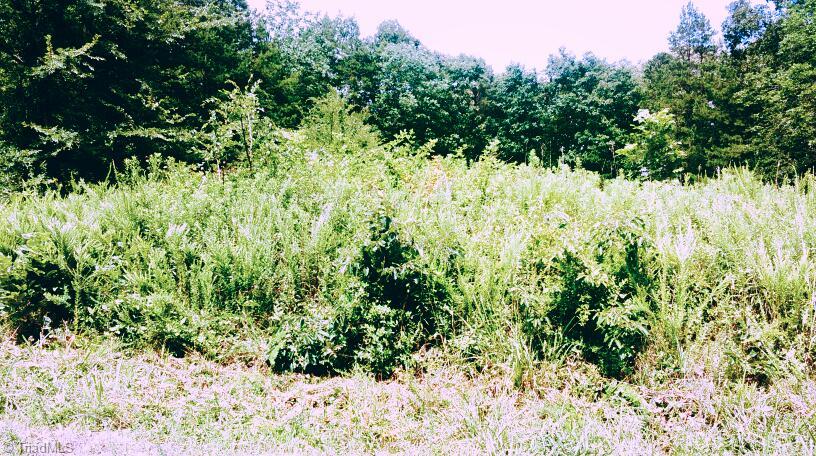 2 Hidden Springs Road Denton, NC 27239 - Photo 1 of 2 Gallery Image 1