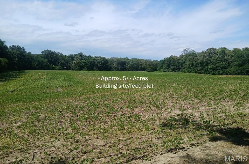 0 Silver Creek Road Alhambra, IL 62001 - Photo 6 of 23