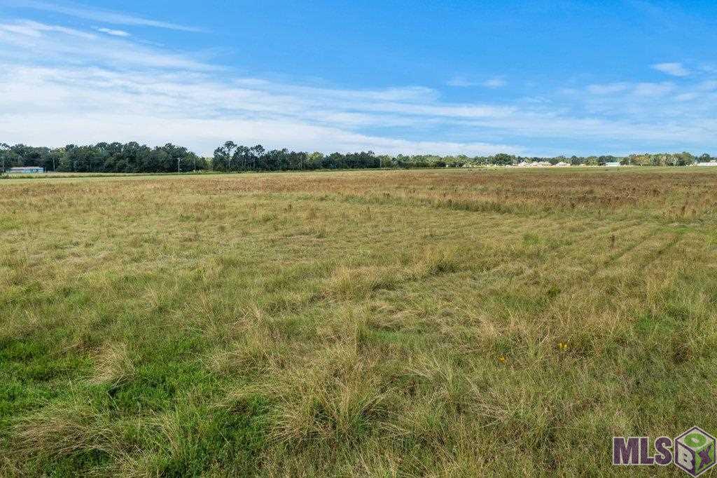 Tbd Frey Road Welsh, LA 70591 - Photo 4 of 7 Gallery Image 4