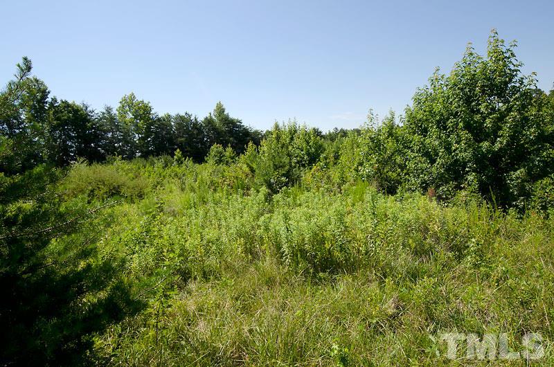 5632 Preacher Hayes Road Mebane, NC 27302 - Photo 3 of 9 Gallery Image 3