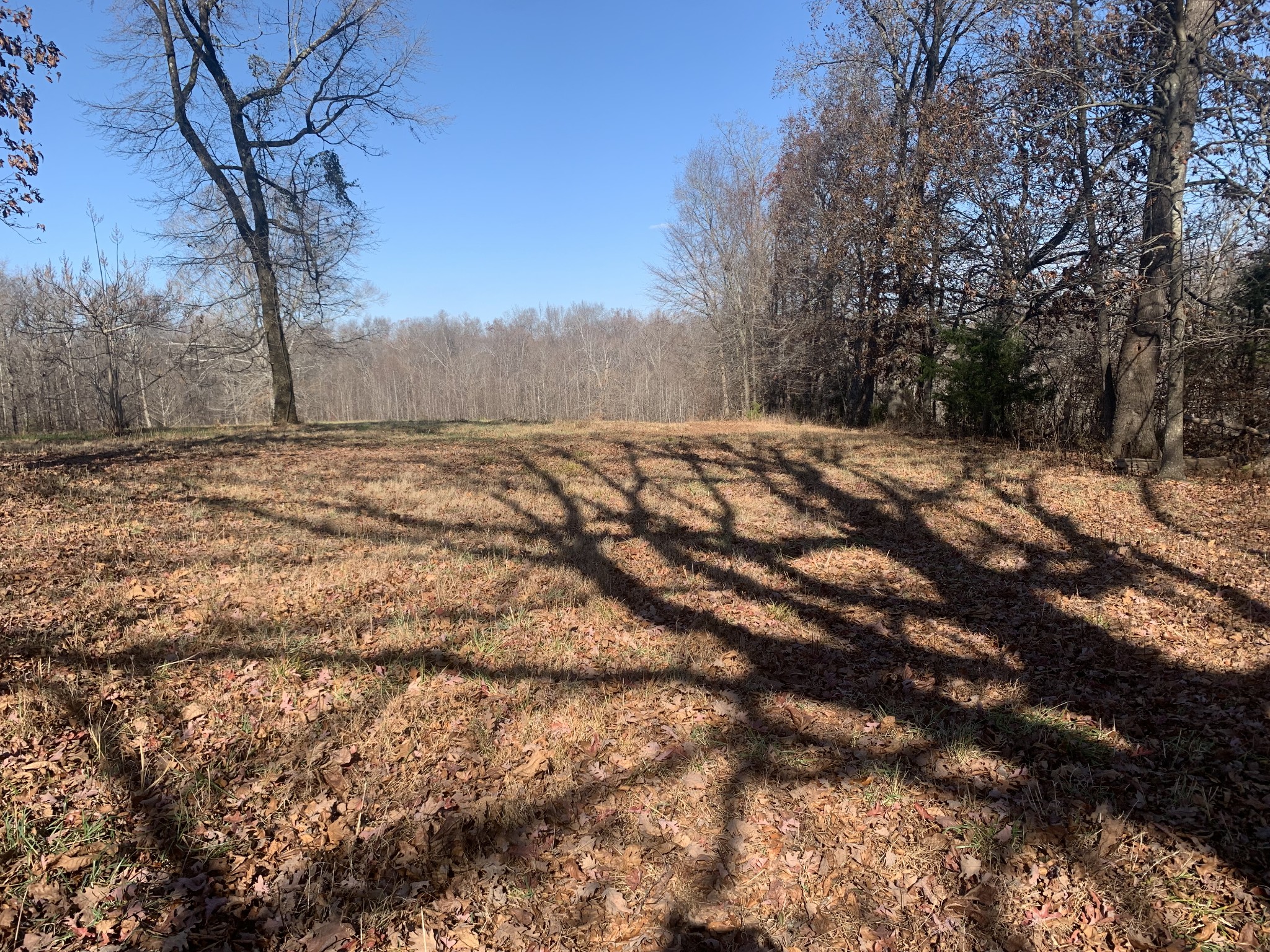 369 Powell Chapel Road Pulaski, TN 38478 - Photo 28 of 35 Gallery Image 28