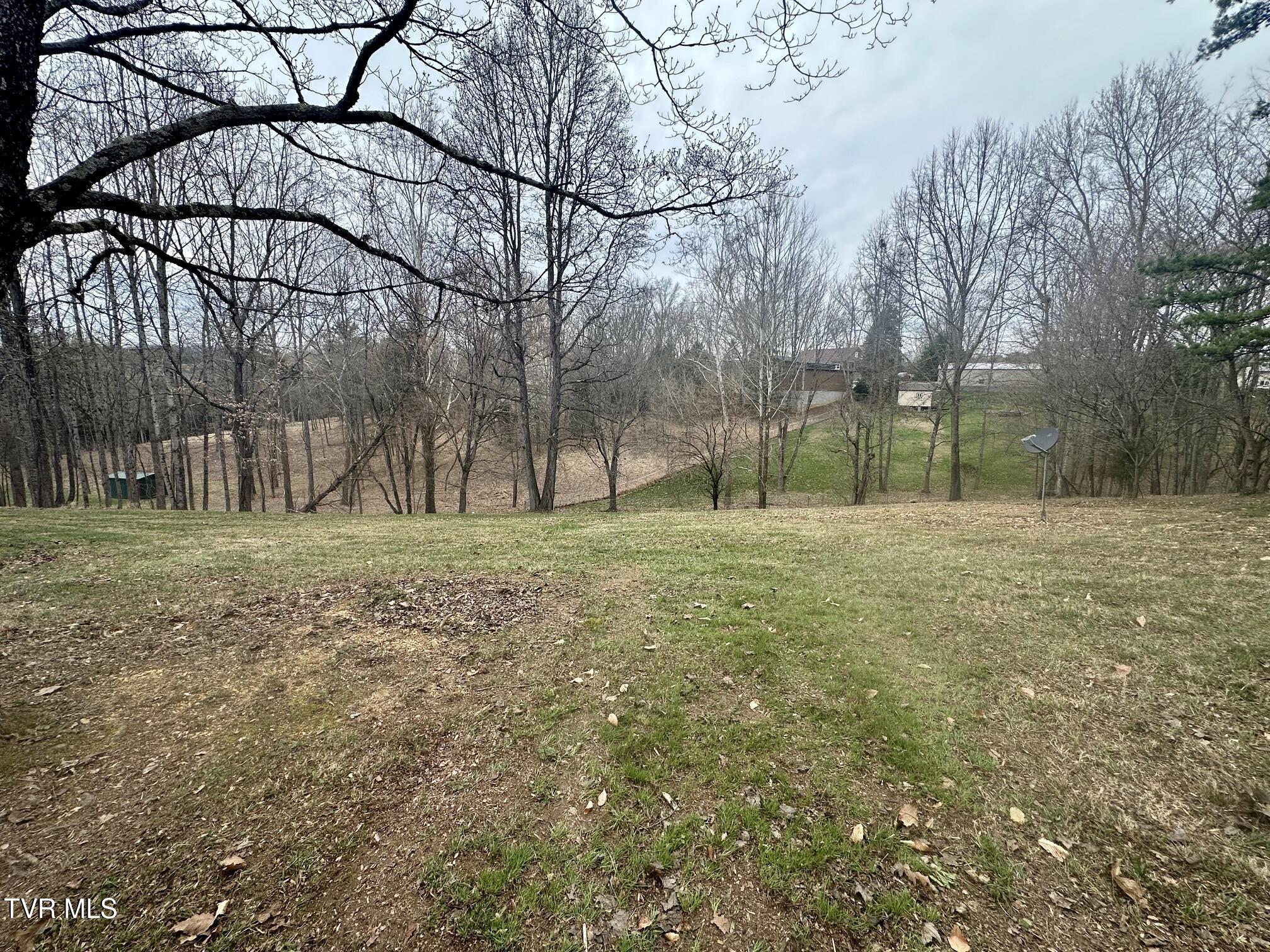 118 Bright Ridge Court Church Hill, TN 37642 - Photo 36 of 45 36