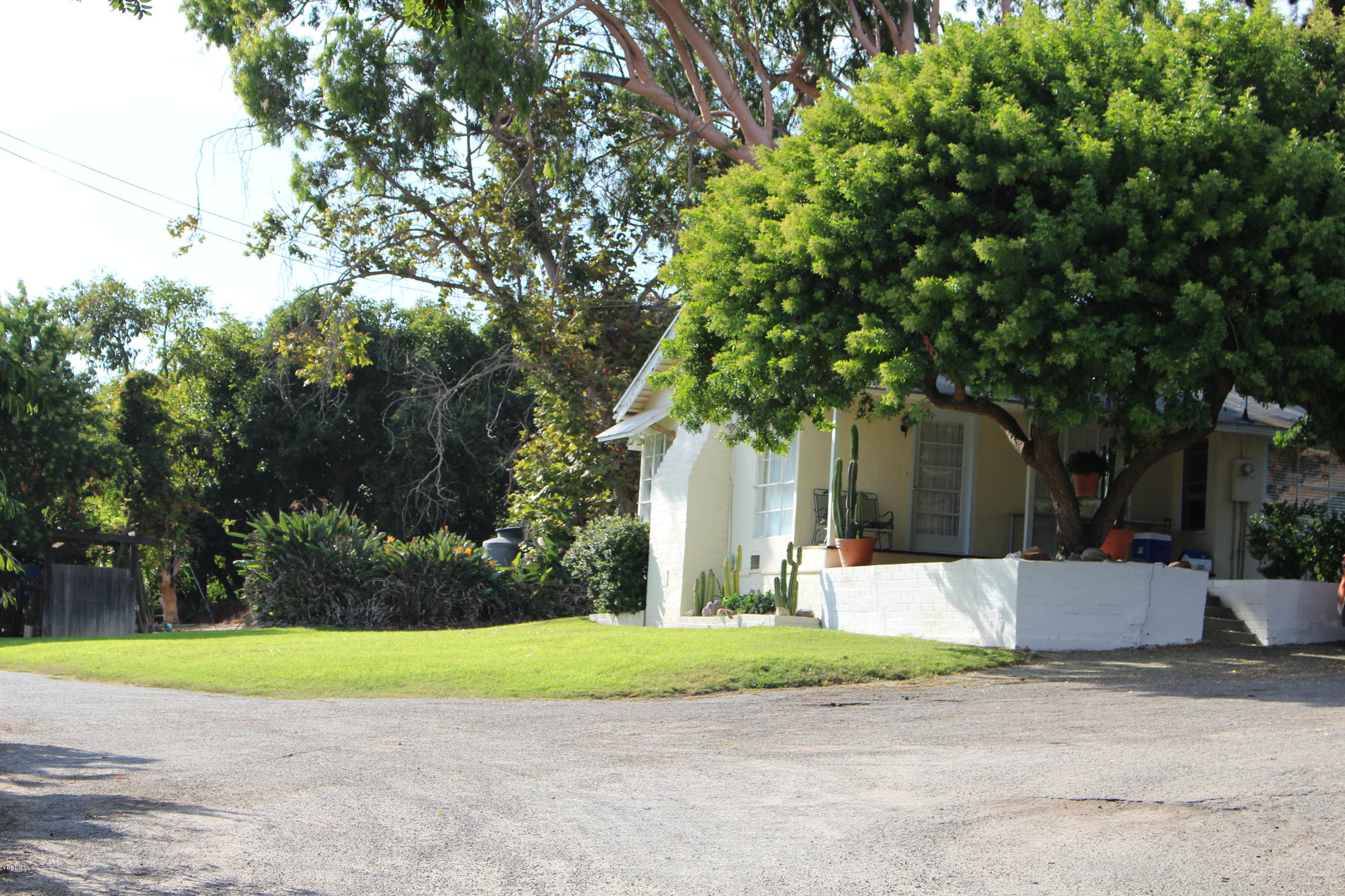3011 Gerry Road Camarillo, CA 93012 - Photo 18 of 39 a view of a yard with plants and trees