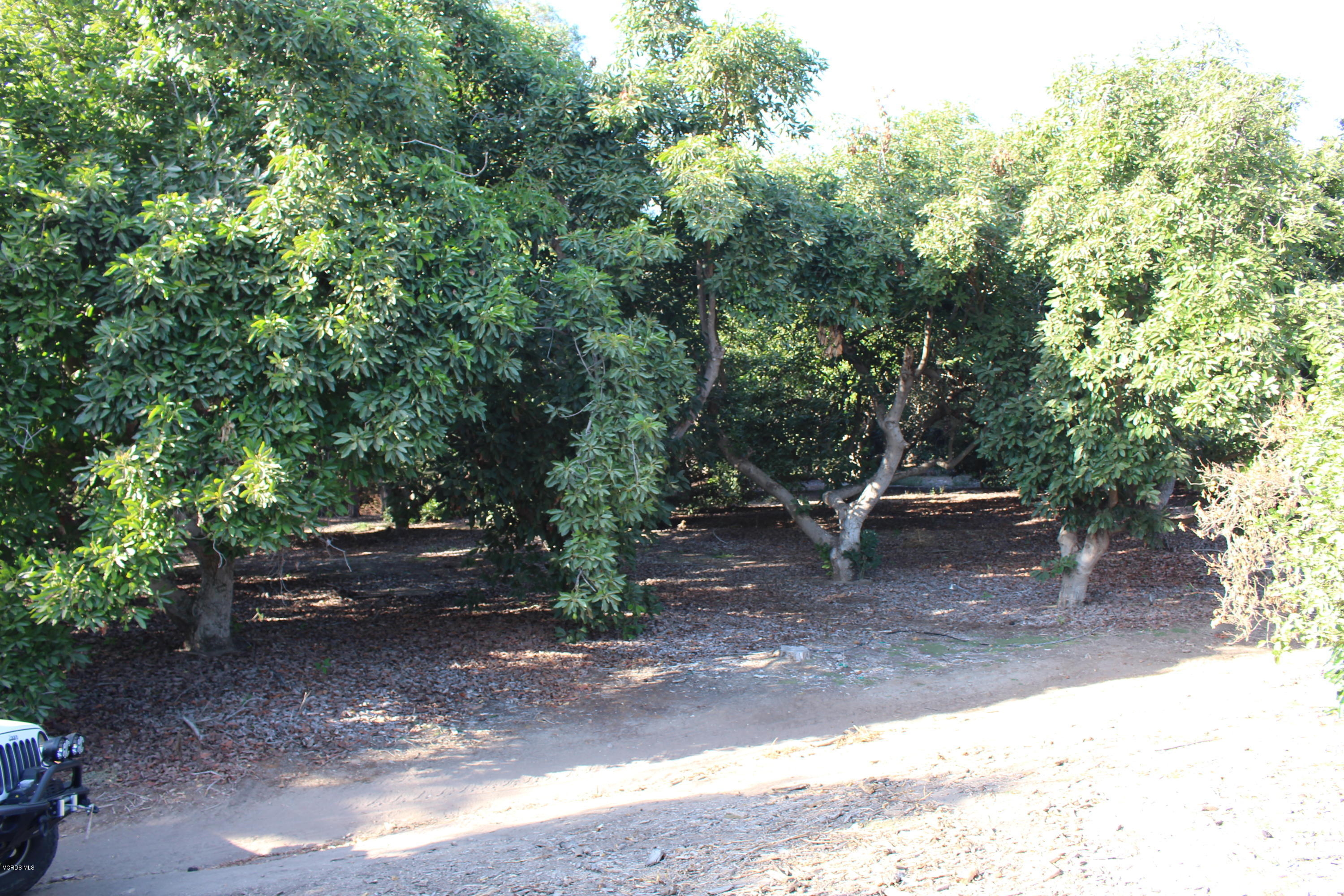 3011 Gerry Road Camarillo, CA 93012 - Photo 23 of 39 a view of outdoor space and yard