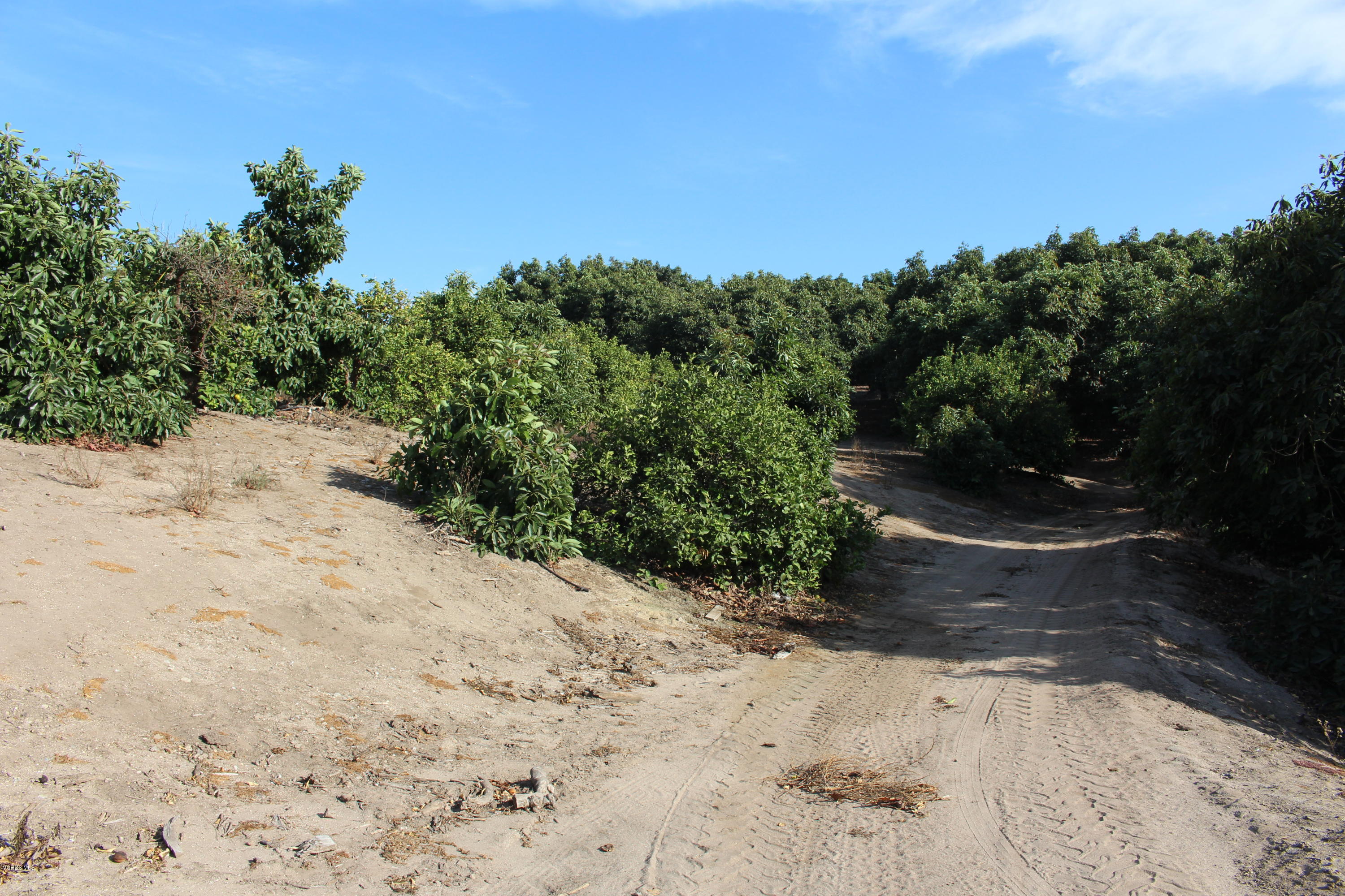 3011 Gerry Road Camarillo, CA 93012 - Photo 25 of 39 a view of a pathway with a yard
