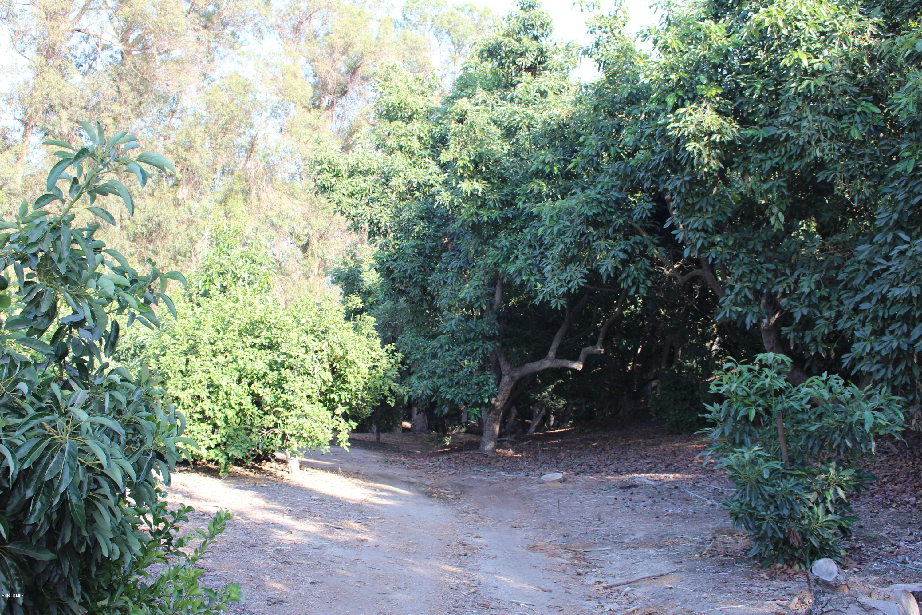3011 Gerry Road Camarillo, CA 93012 - Photo 27 of 39 a view of a outdoor space and trees