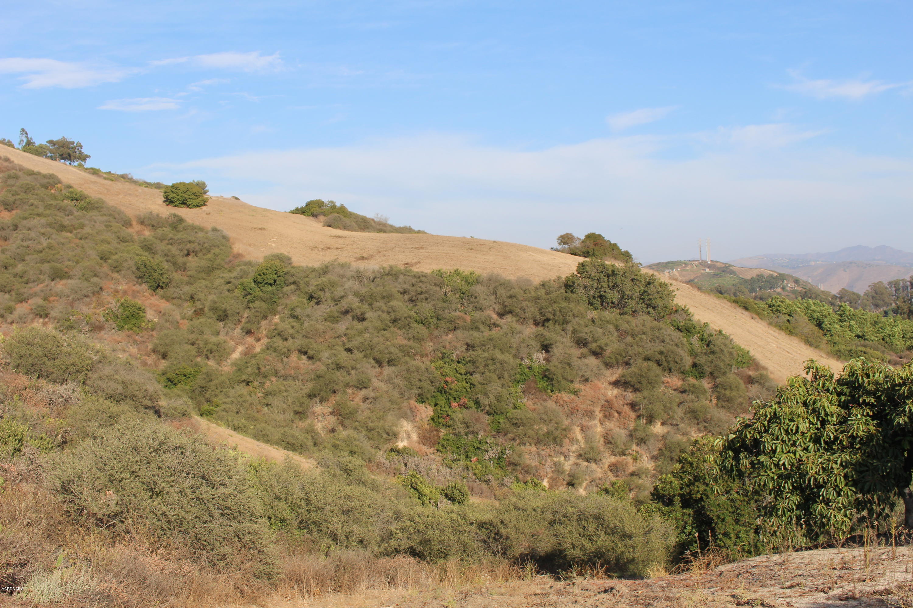 3011 Gerry Road Camarillo, CA 93012 - Photo 31 of 39 a view of a dry yard with mountains in the background