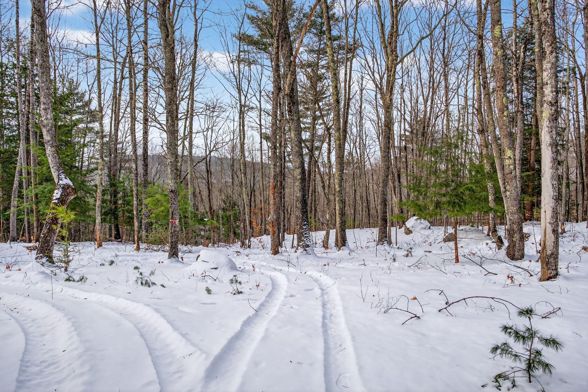 128 Tripptown Road Hiram, ME 04041 - Photo 34 of 41 deliverables_QfBJhGaNmcFArGwfIB42_DSC099