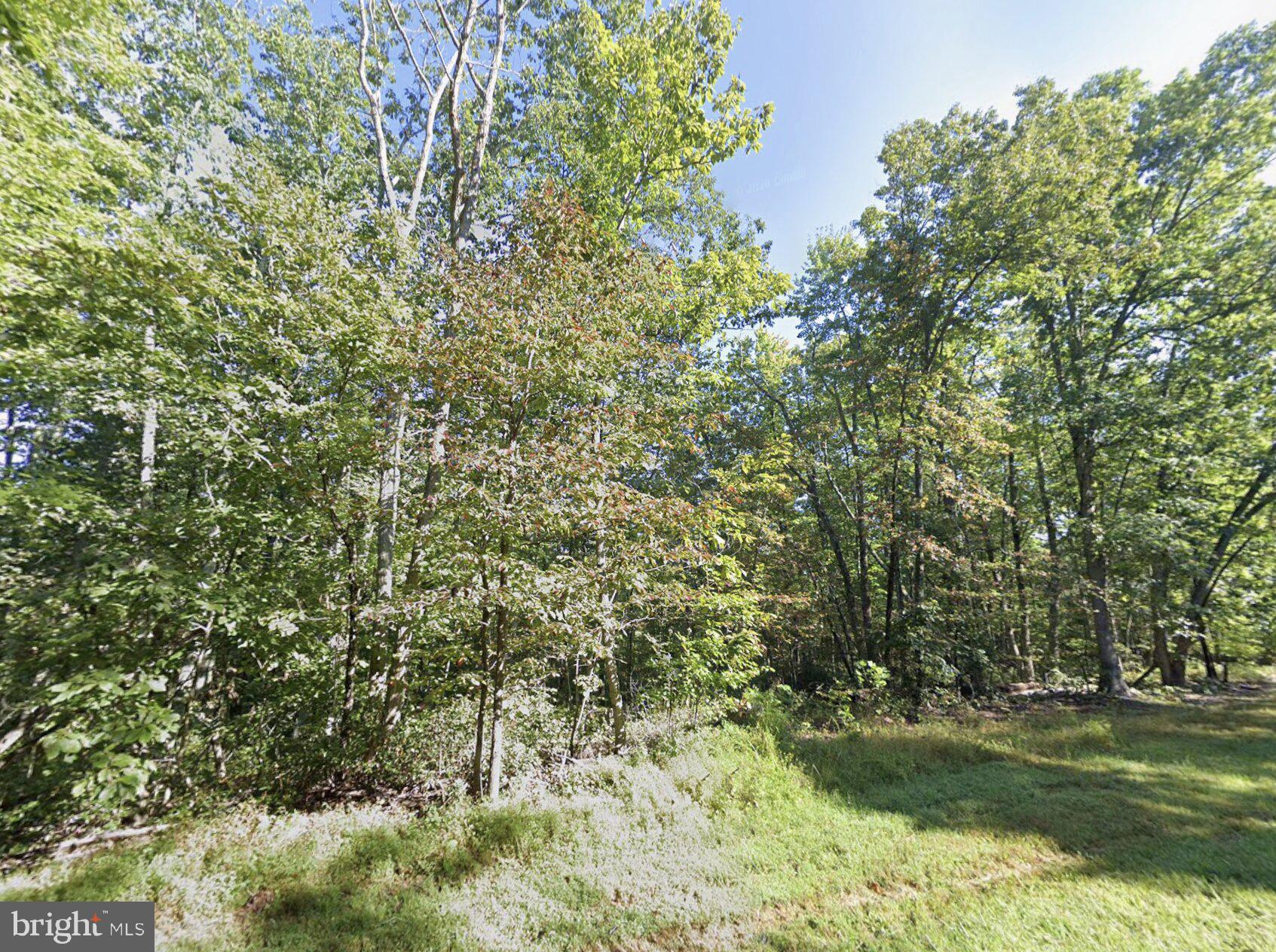 0 Laurel Road Shipman, VA 22971 - Photo 8 of 8 Gallery Image 8