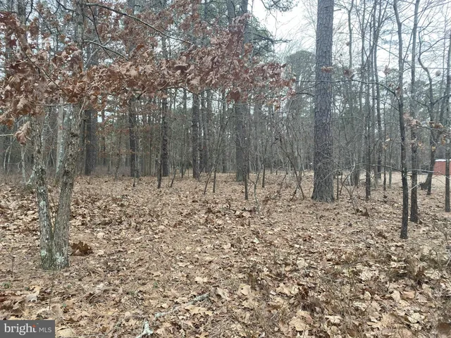 a view of wooden space and trees