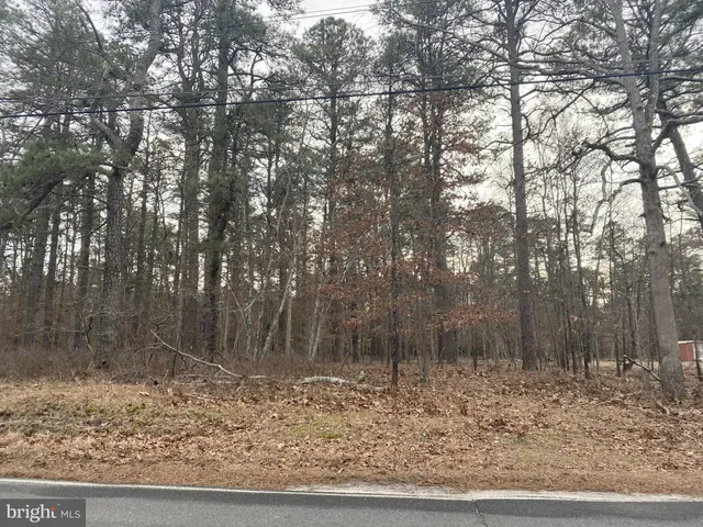 a view of a yard with trees