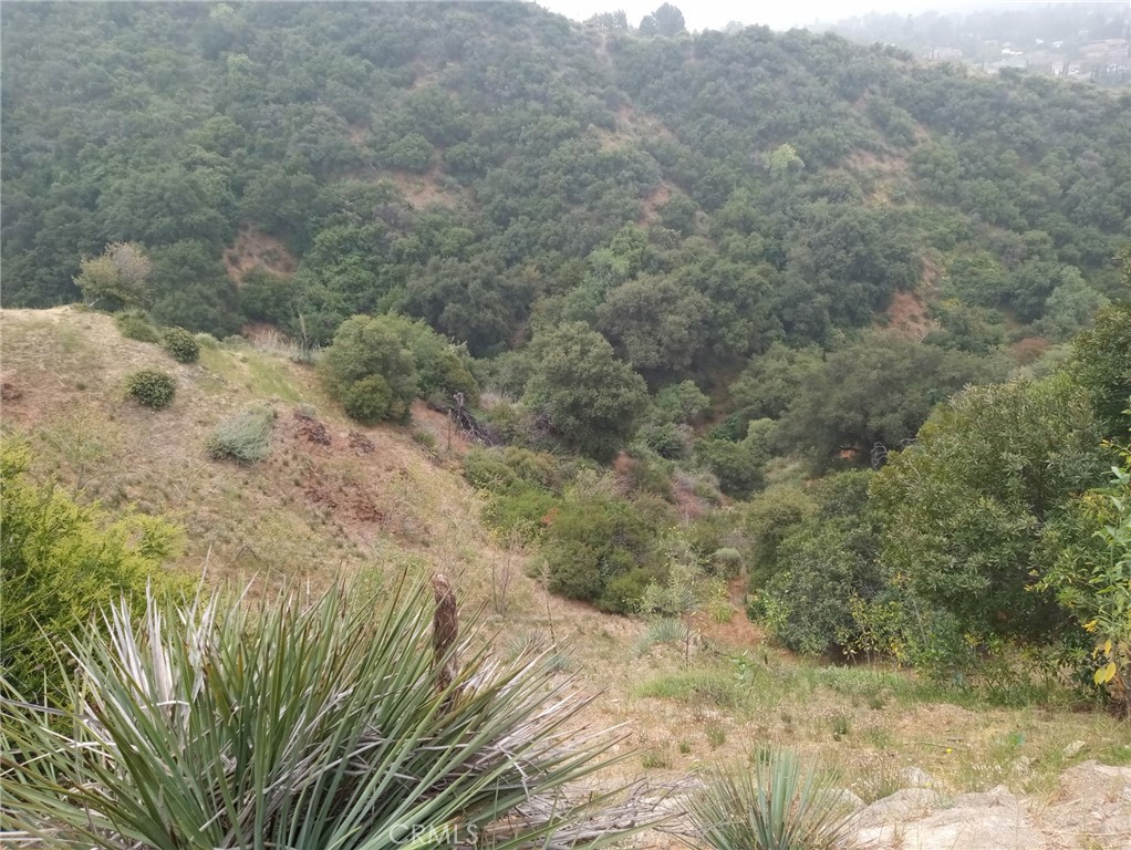 0 Tujunga La Crescenta, CA 91214 - Photo 11 of 15