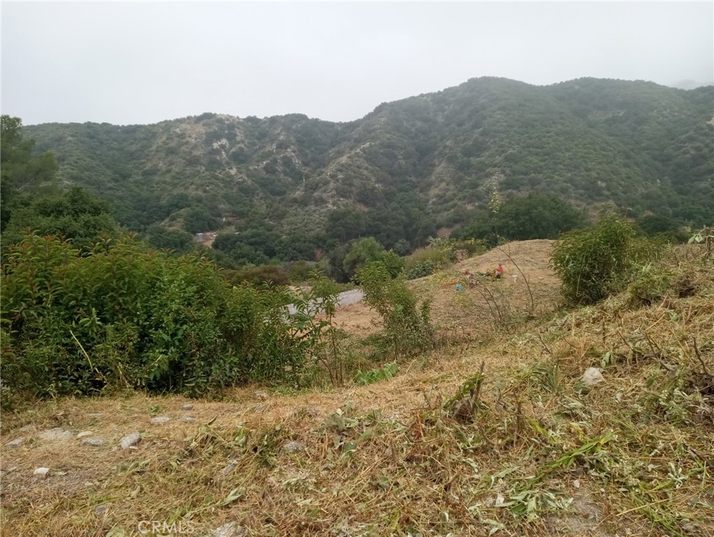 0 Tujunga La Crescenta, CA 91214 - Photo 4 of 15