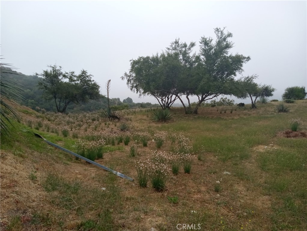 0 Tujunga La Crescenta, CA 91214 - Photo 9 of 15