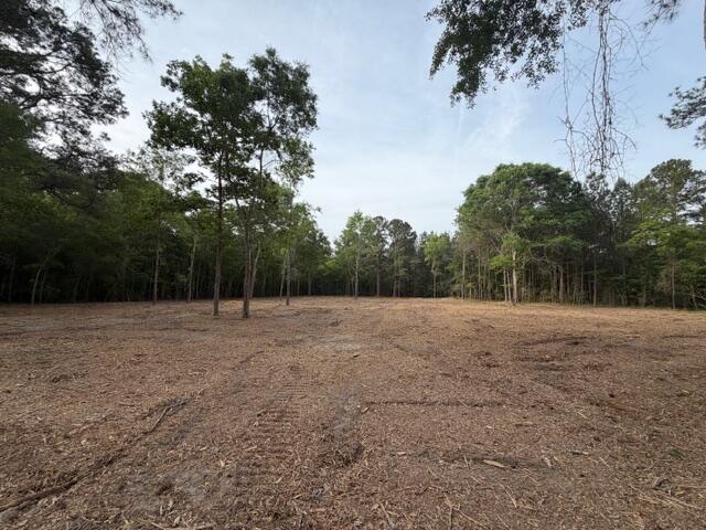 3 Trojan Road Cross, SC 29436 - Photo 8 of 21