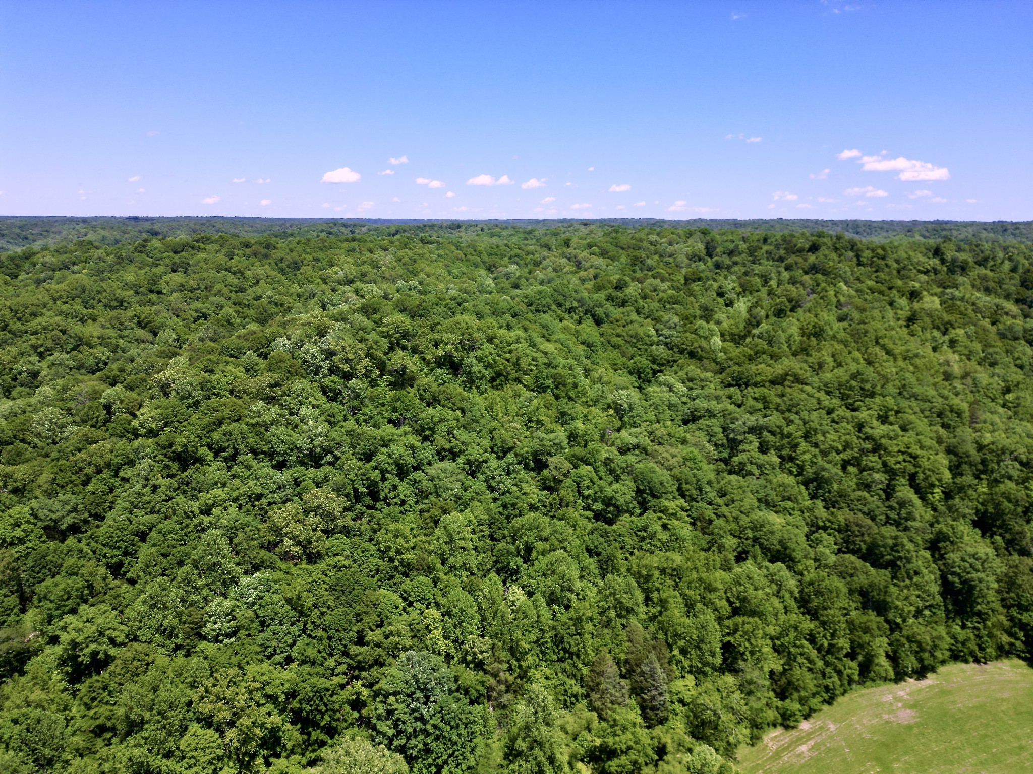 0 Big Marrowbone Road Ashland City, TN 37015 - Photo 11 of 19 Gallery Image 11