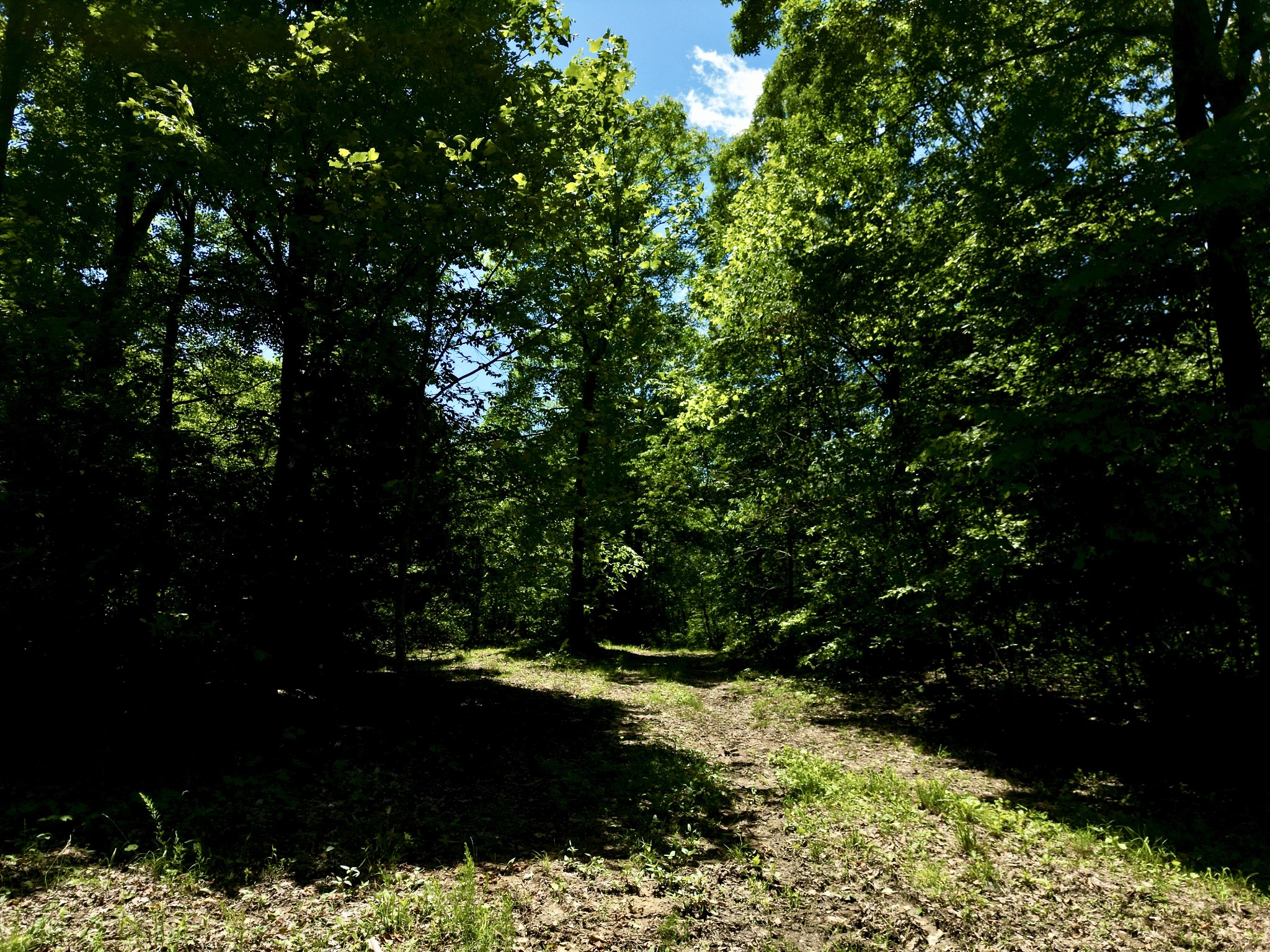 0 Big Marrowbone Road Ashland City, TN 37015 - Photo 13 of 19 Gallery Image 13