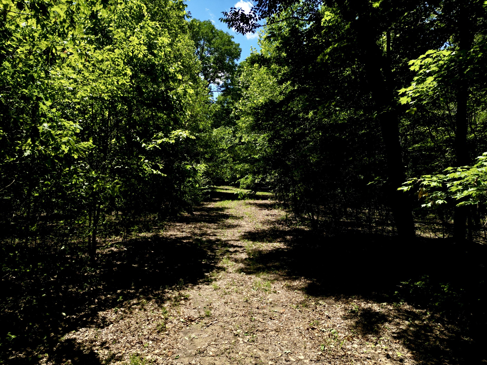0 Big Marrowbone Road Ashland City, TN 37015 - Photo 14 of 19 Gallery Image 14