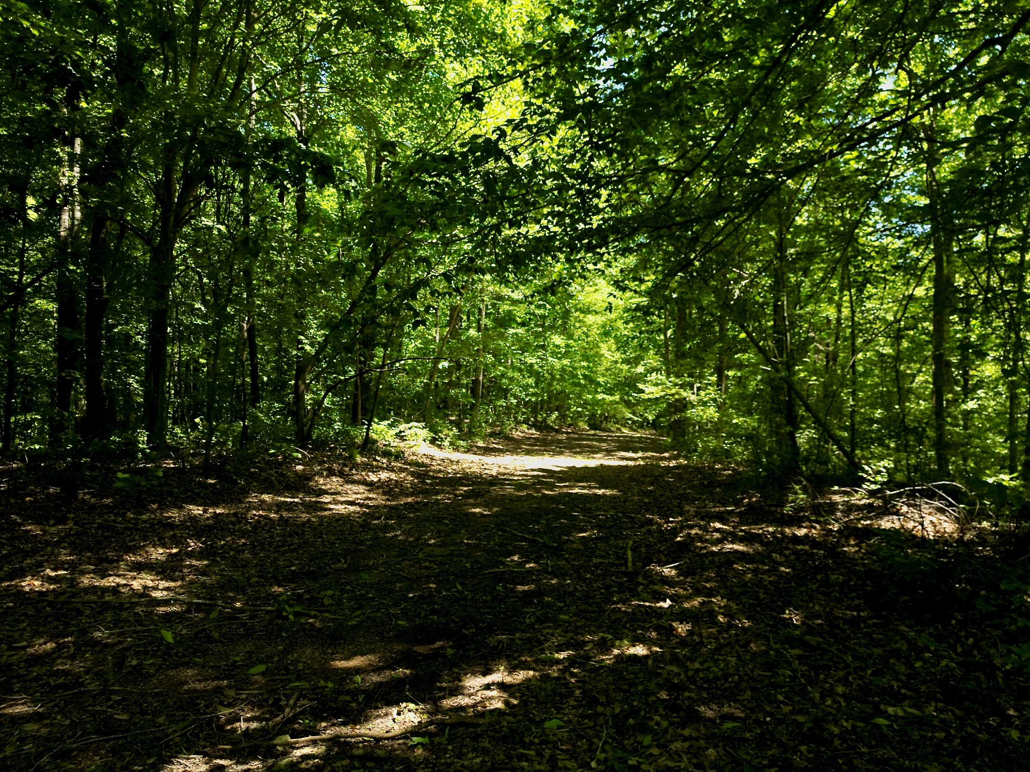 0 Big Marrowbone Road Ashland City, TN 37015 - Photo 16 of 19 Gallery Image 16