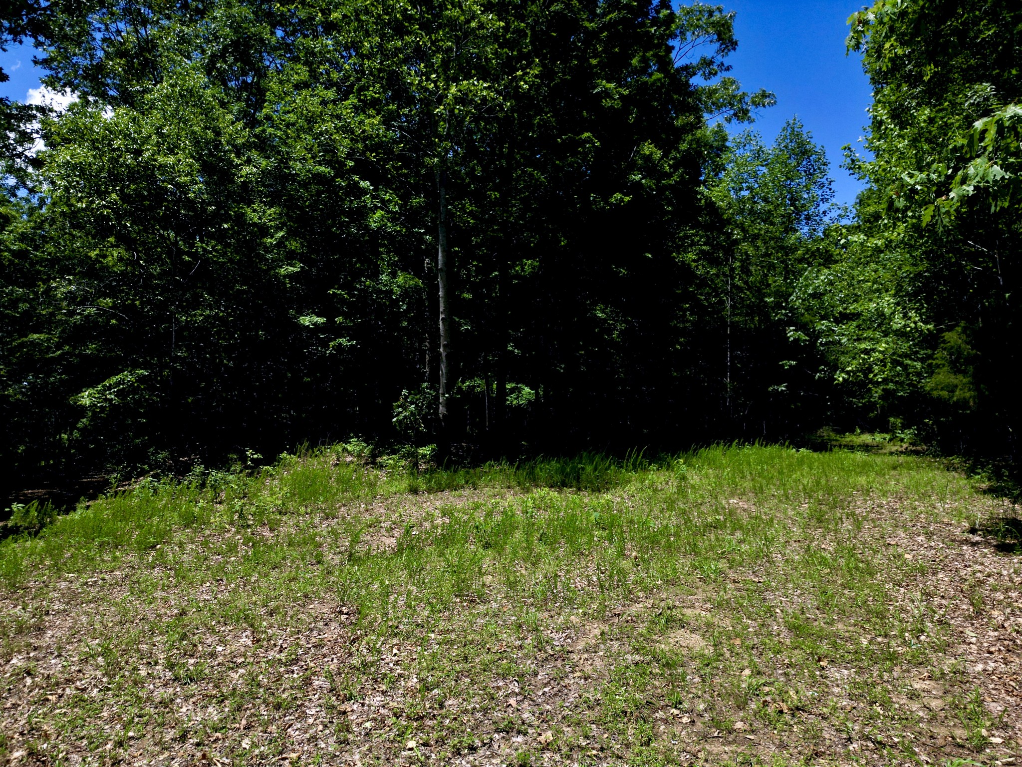 0 Big Marrowbone Road Ashland City, TN 37015 - Photo 17 of 19 Gallery Image 17