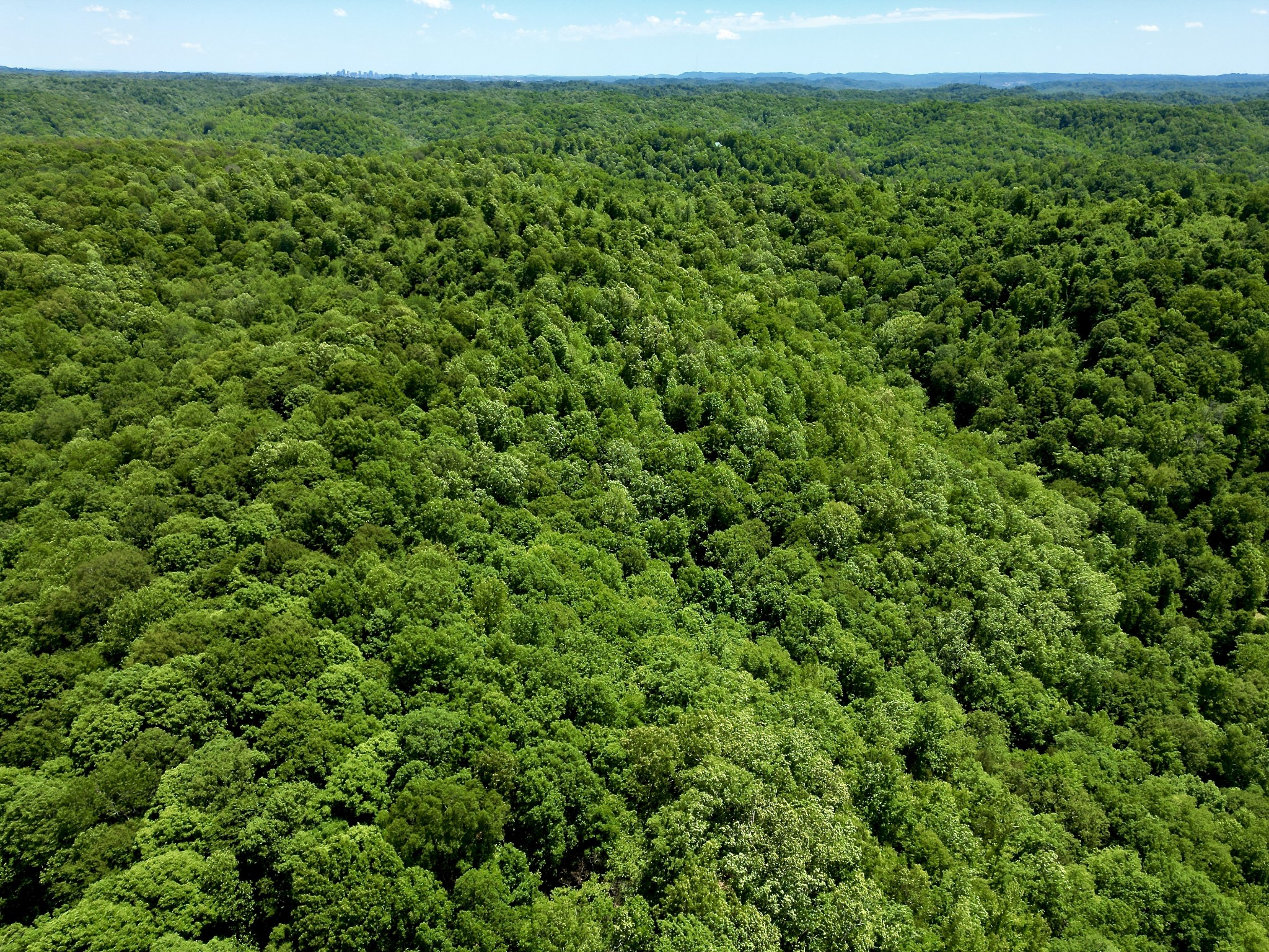 0 Big Marrowbone Road Ashland City, TN 37015 - Photo 18 of 19 Gallery Image 18