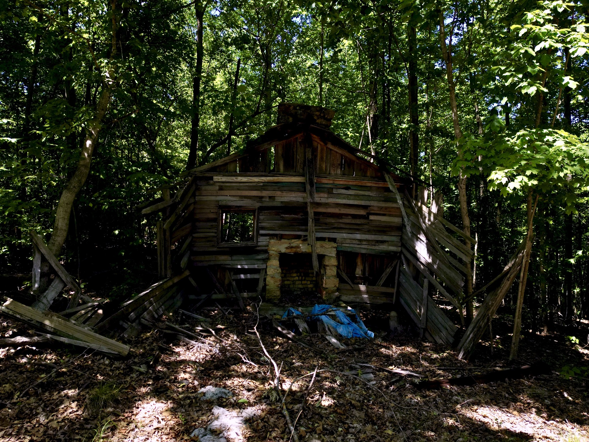 Gallery Image 7