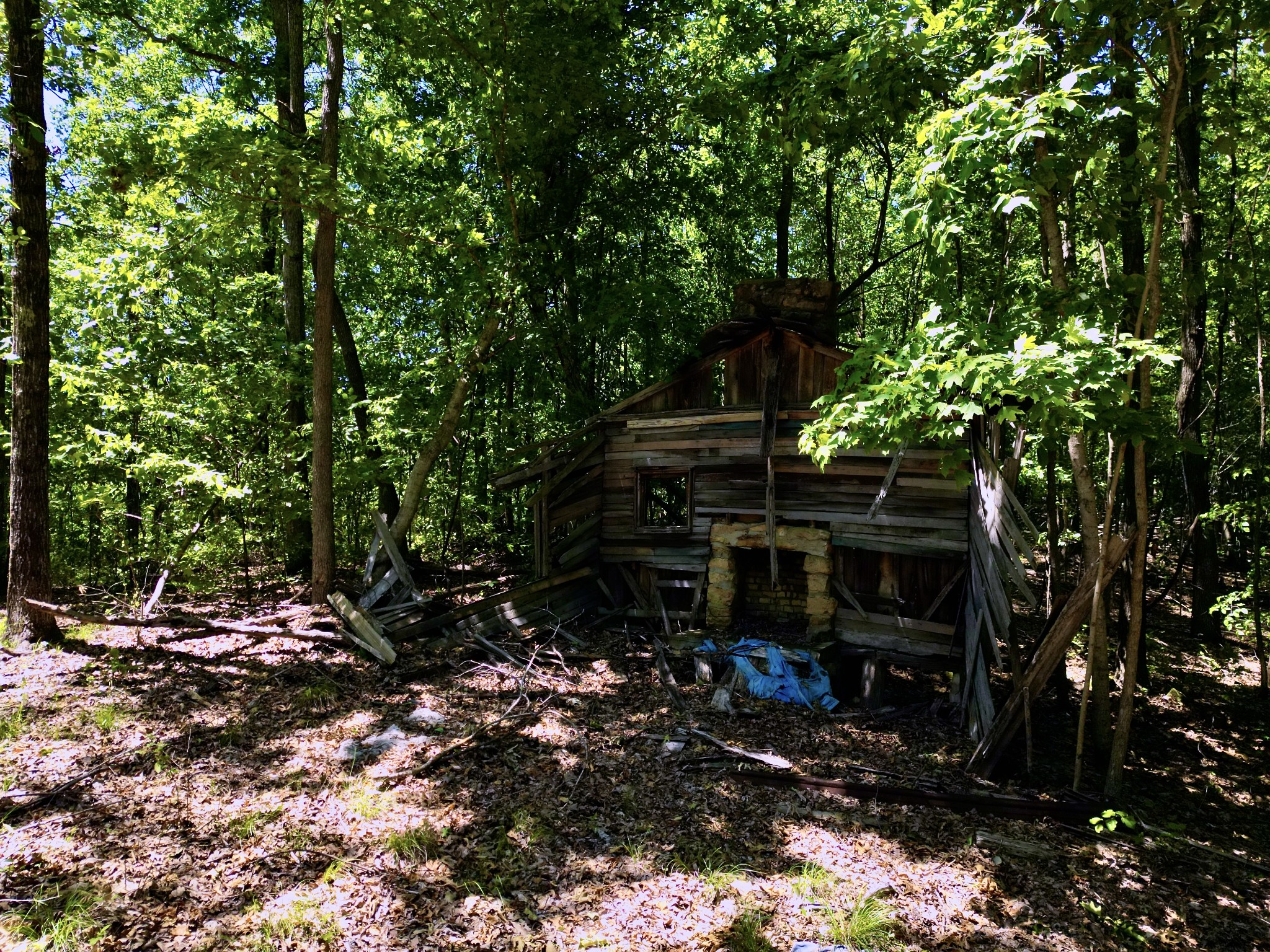 0 Big Marrowbone Road Ashland City, TN 37015 - Photo 8 of 19 Gallery Image 8