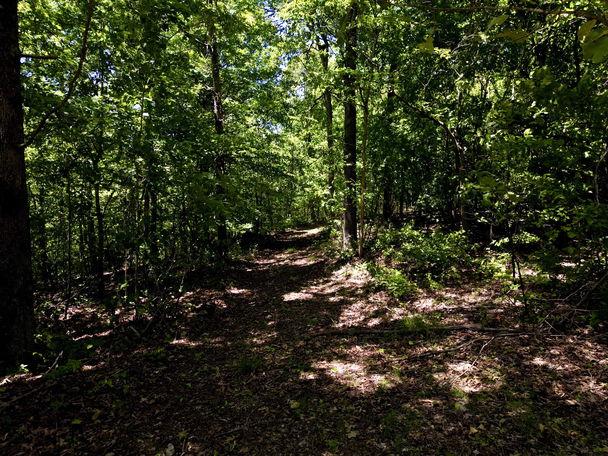 0 Big Marrowbone Road Ashland City, TN 37015 - Photo 9 of 19 Gallery Image 9
