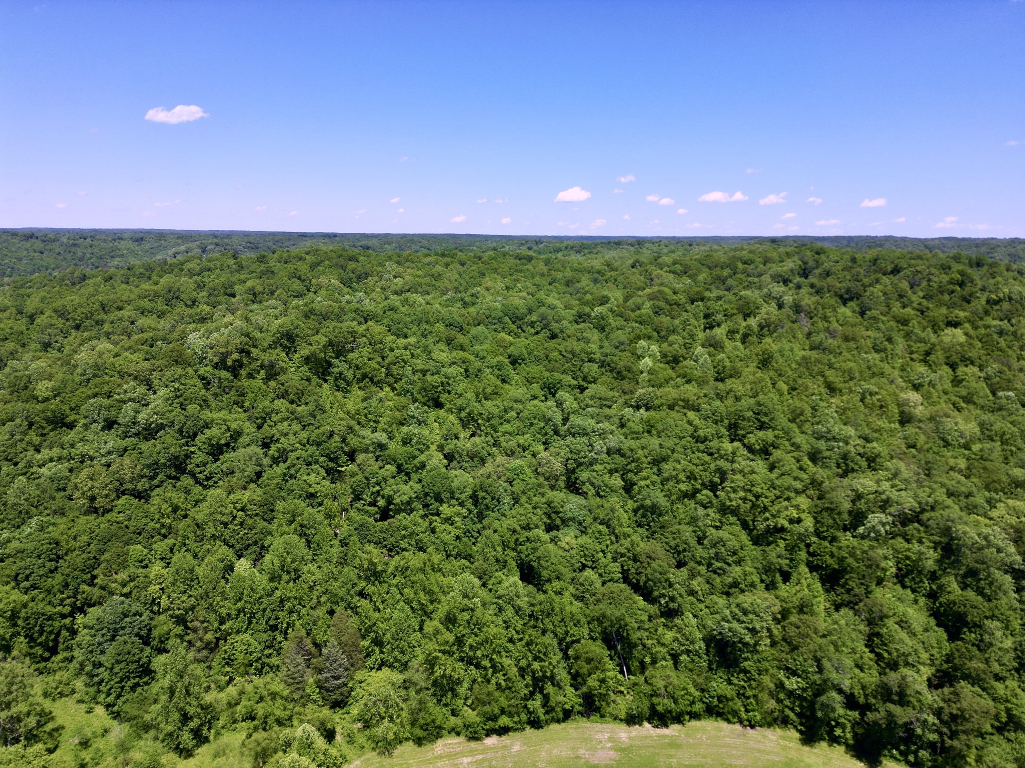 0 Big Marrowbone Road Ashland City, TN 37015 - Photo 10 of 19 Gallery Image 10