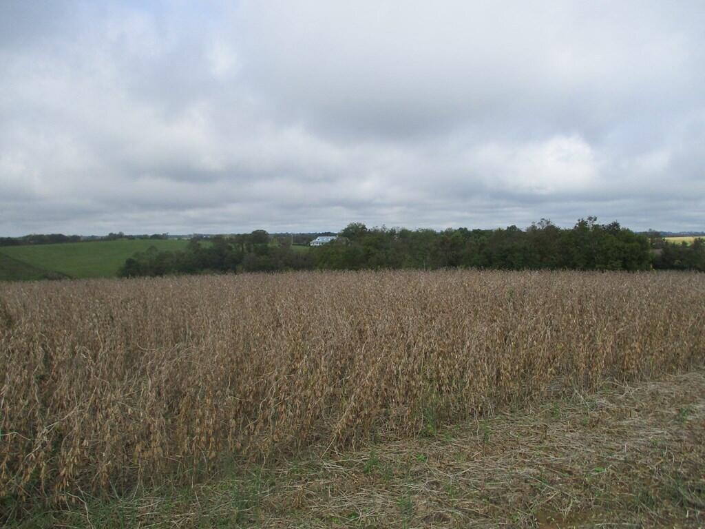 4097 Hilltop Road Ewing, KY 41039 - Photo 12 of 16 38537_11