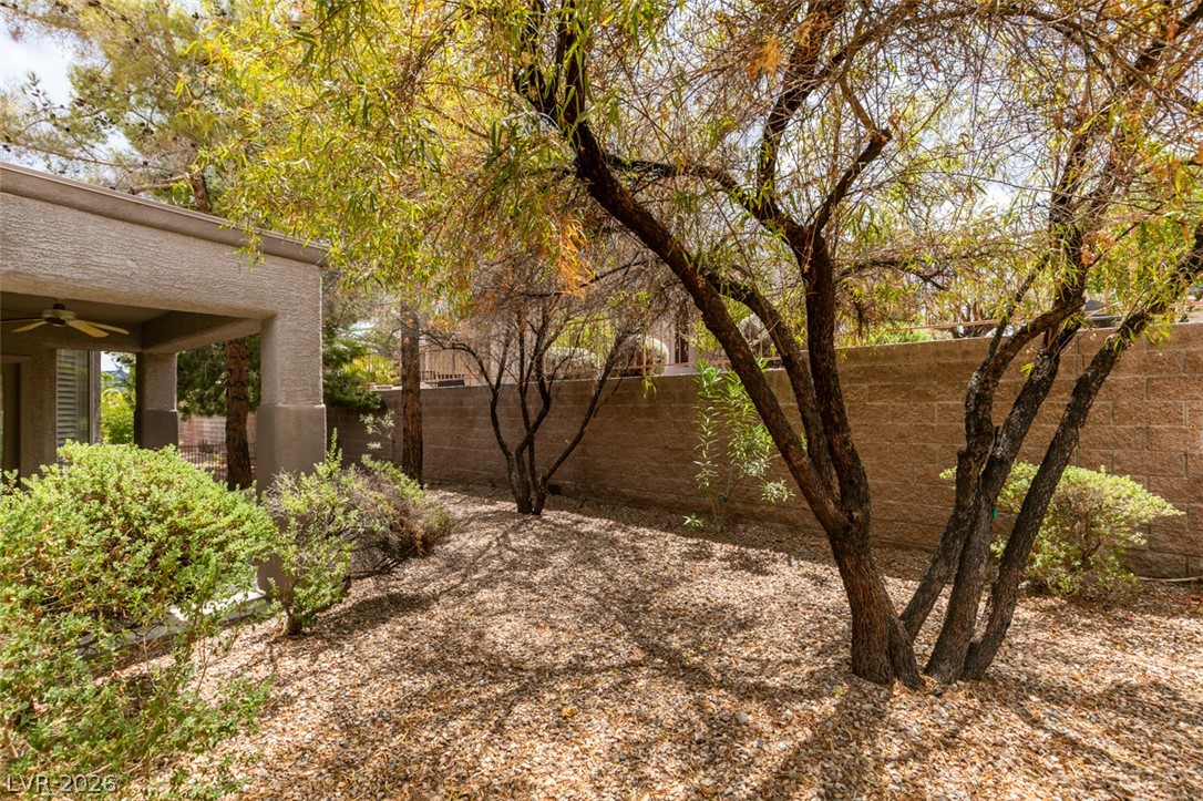 2189 Chapman Ranch Drive Henderson, NV 89012 - Photo 41 of 60 Mature trees shade a low-maintenance gravel yard enclosed by a privacy block wall.
