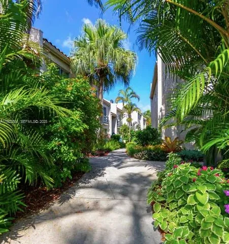 a view of a garden with plants