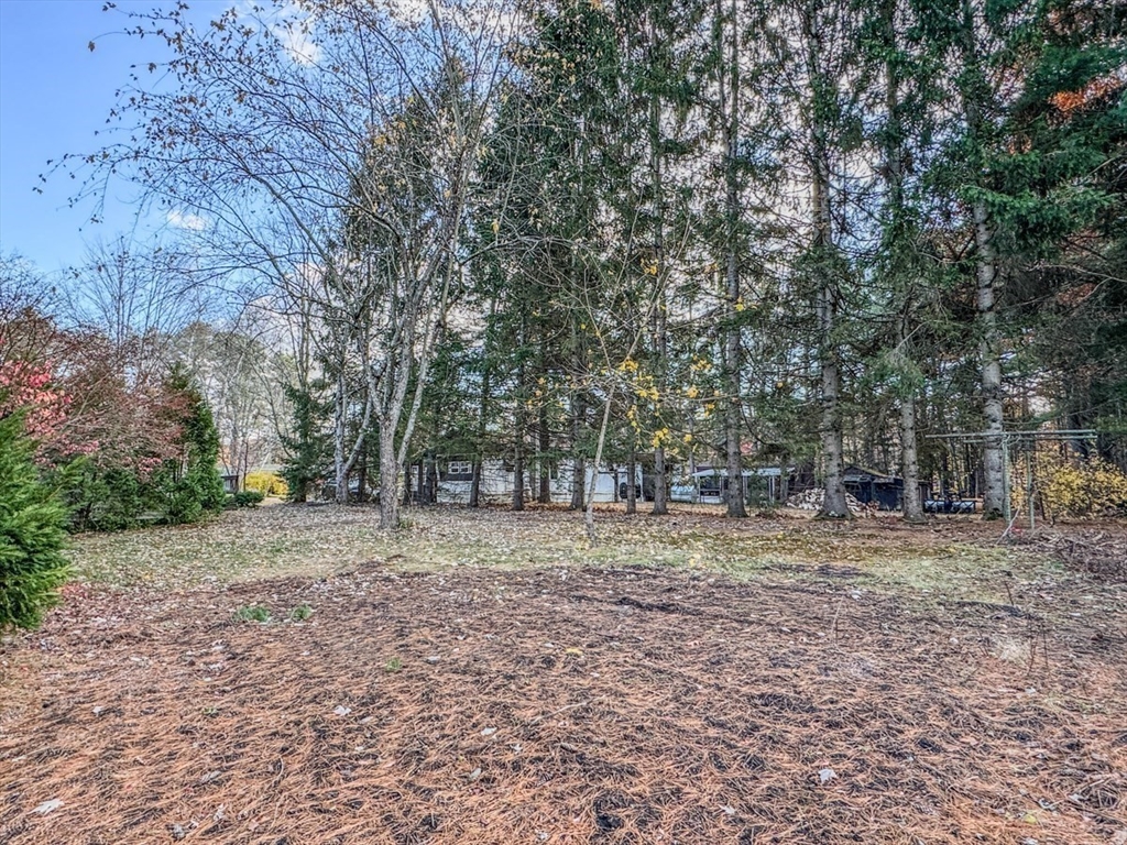 202 Turnpike Road Montague, MA 01351 - Photo 42 of 42 a backyard of a house with large trees