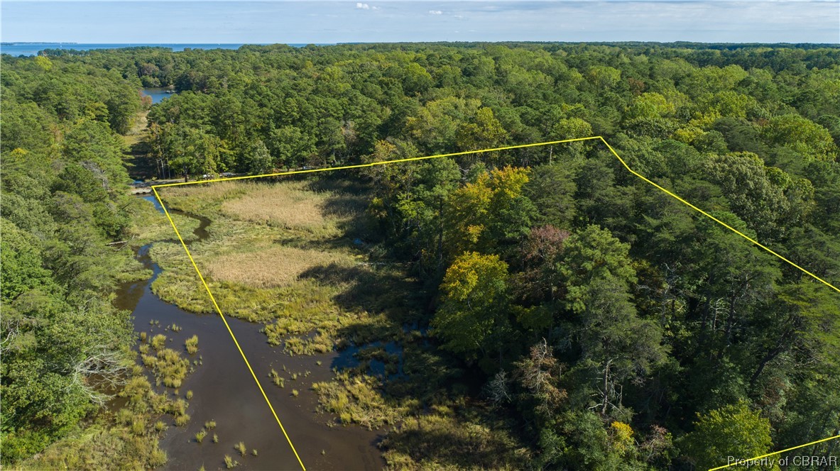 Lot 4 Dirt Bridge Road Topping, VA 23169 - Photo 6 of 9 Aerial view