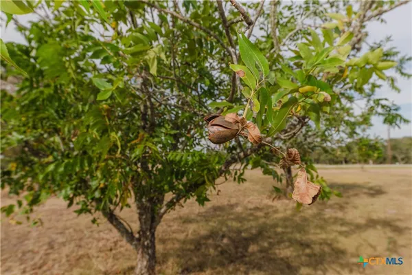 a view of a house with a backyard and bushes
