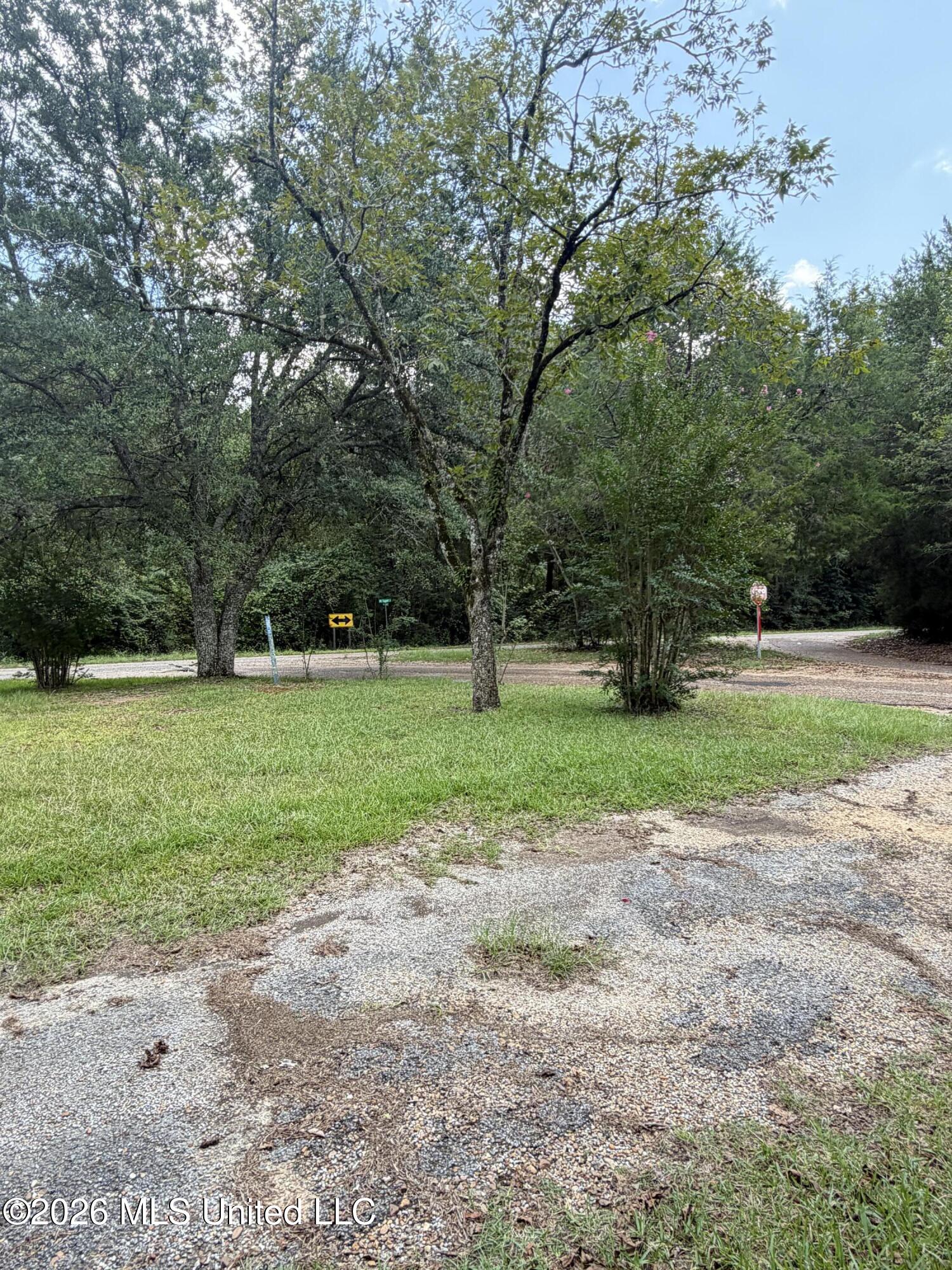 401 Garland Broome Road Prentiss, MS 39474 - Photo 7 of 31 IMG_3819