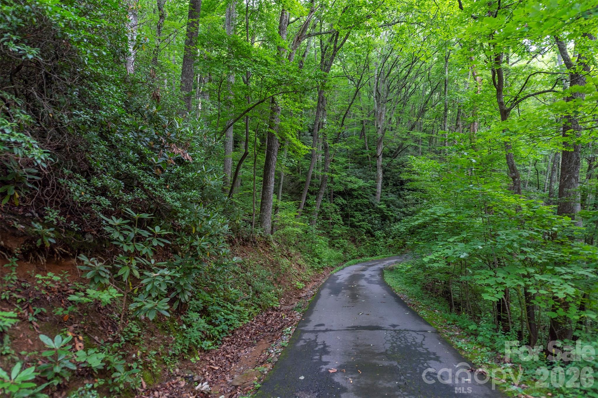 Tbd Summer Haven Road, Unit 16 Swannanoa, NC 28778 - Photo 9 of 45