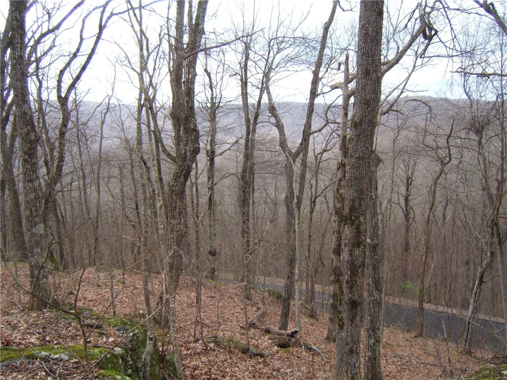 Lot 11 Monument Falls Road Jasper, GA 30143 - Photo 1 of 1 Imagine your new home here. A fantastic house seat on this mountain, with panoramic sunset views! Spacious amount of level area for the house seat. Previous owners provided a soil report.