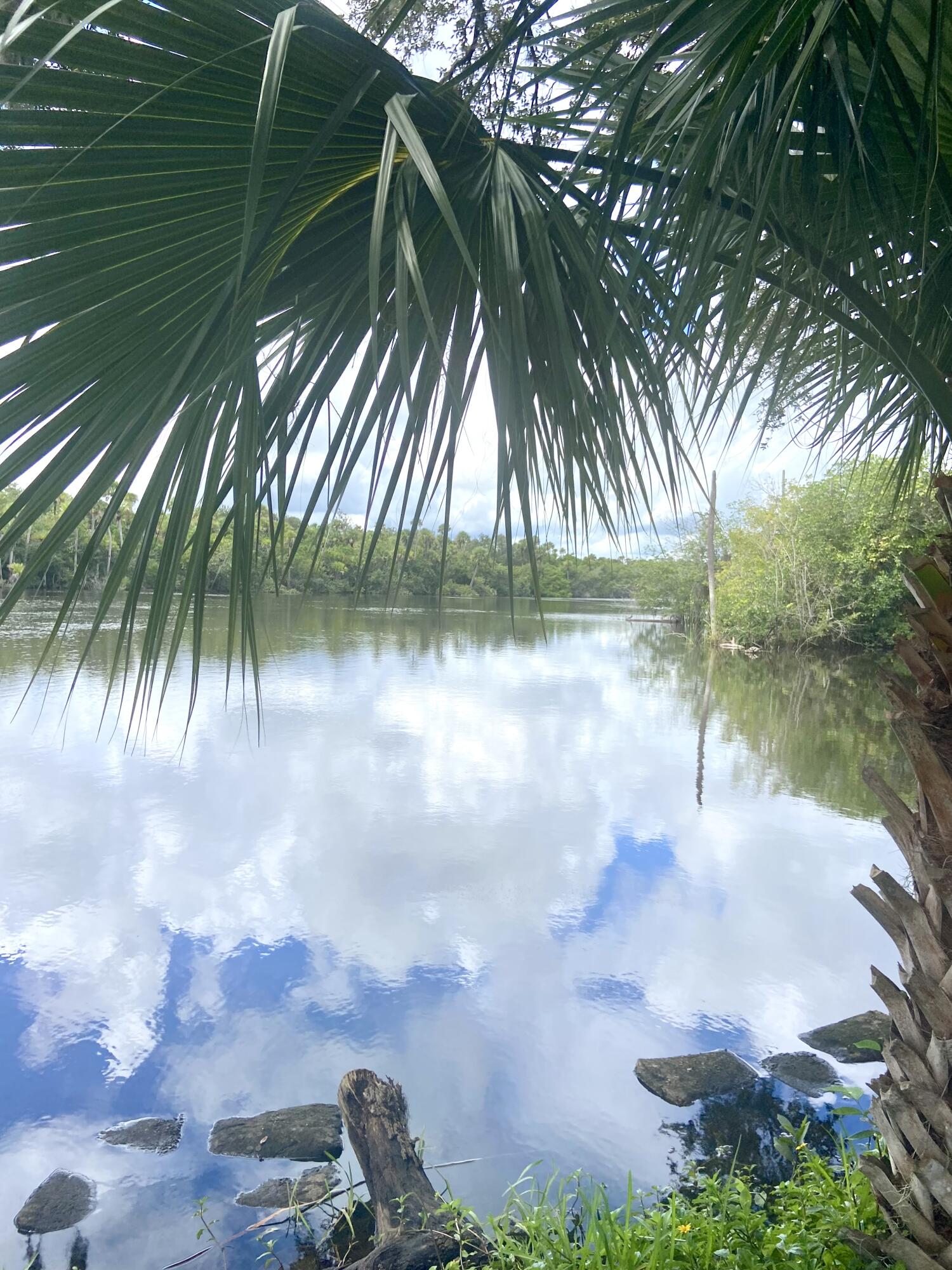 29 Quintana Roo Lane Port St. Lucie, FL 34952 - Photo 6 of 51 a view of a lake from a yard