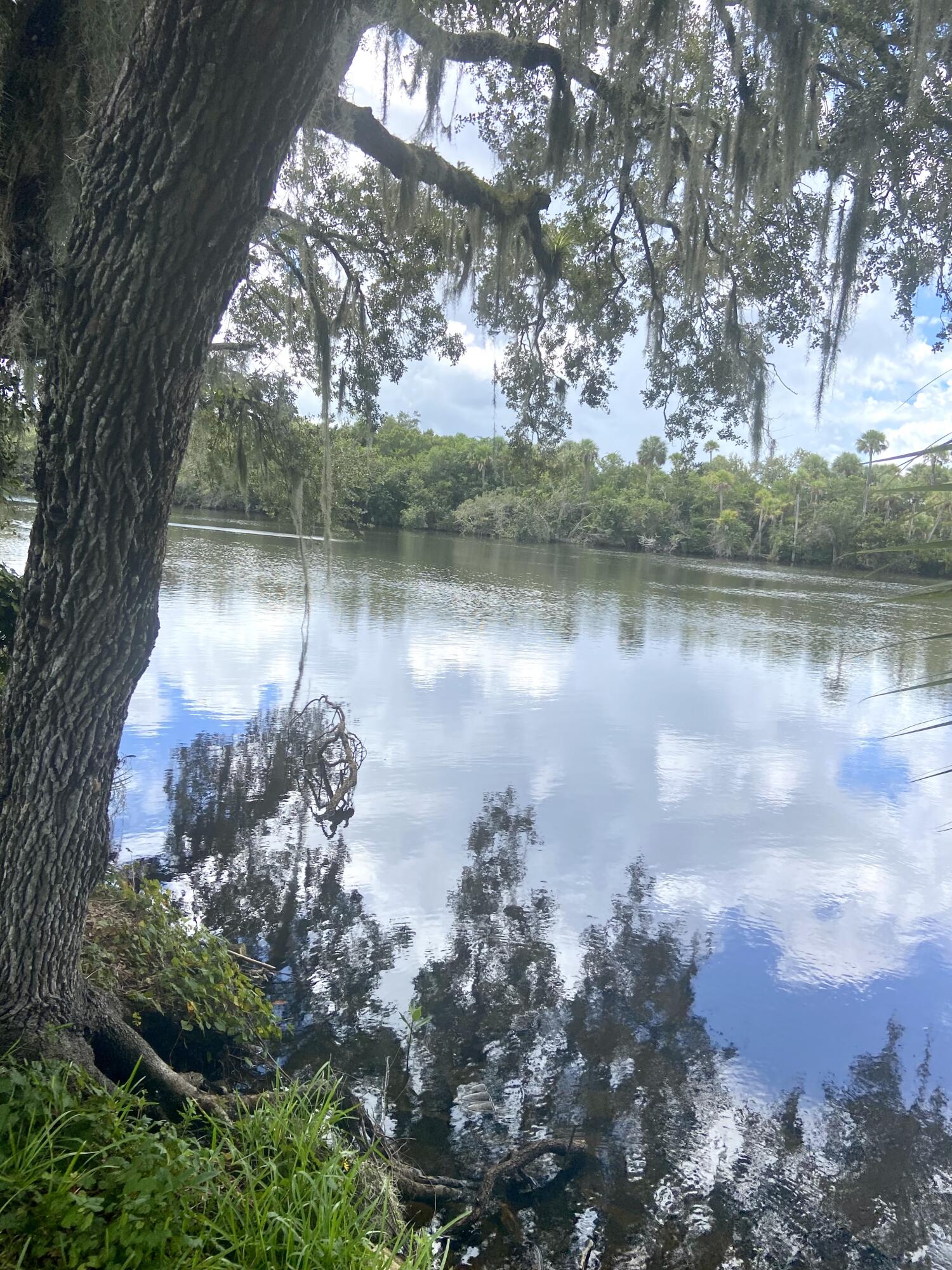 29 Quintana Roo Lane Port St. Lucie, FL 34952 - Photo 8 of 51 a view of a lake from a yard