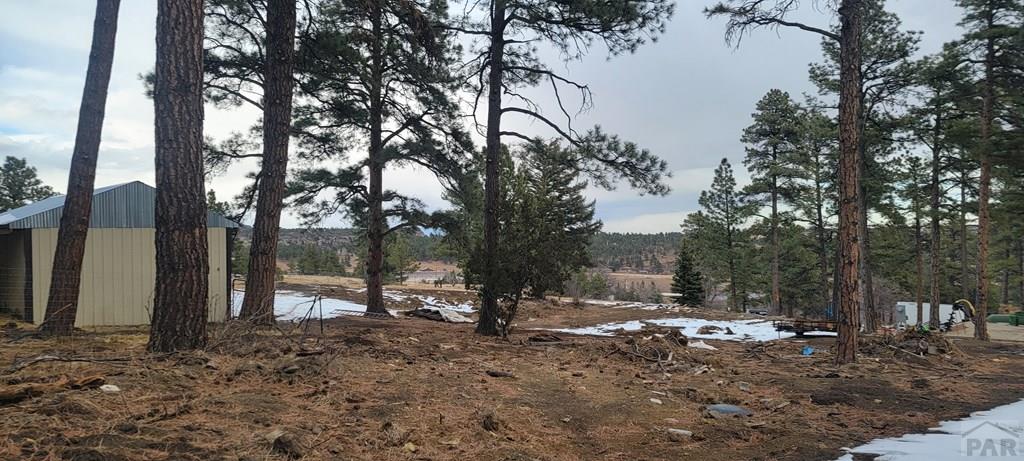 8200 Highway 165 Rye, CO 81069 - Photo 12 of 26