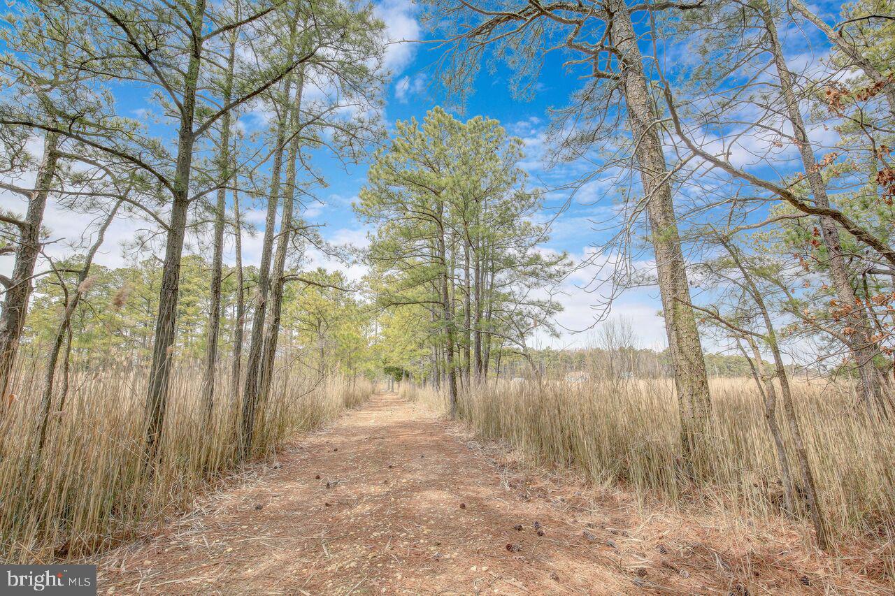 4958 Ashley Road Rock Hall, MD 21661 - Photo 39 of 50 Your special trail to the water