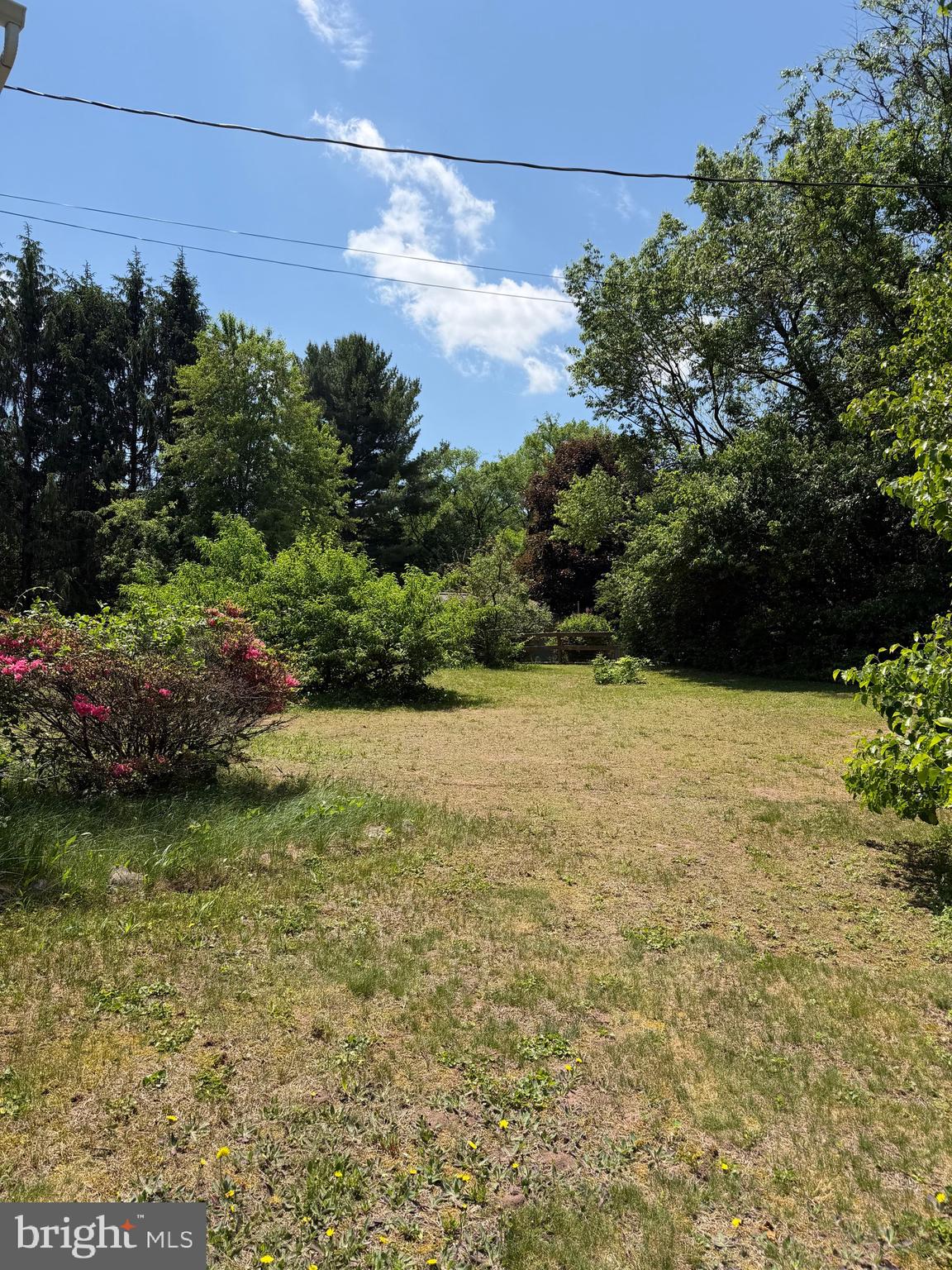 37 Beavens Road Reading, PA 19608 - Photo 5 of 7 a view of a bunch of trees and bushes