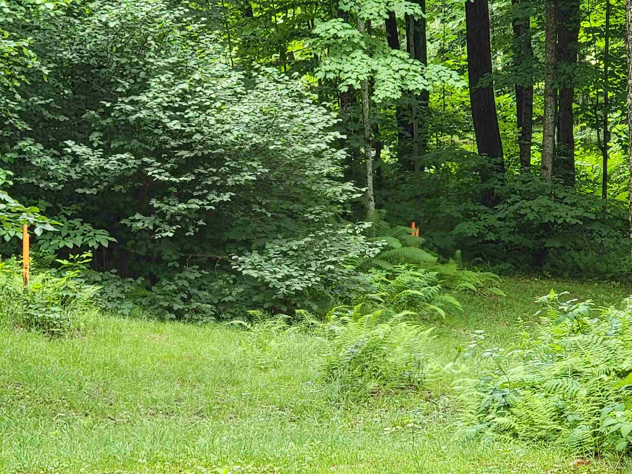 6 Risky Ranch Road Stamford, VT 05352 - Photo 3 of 14
