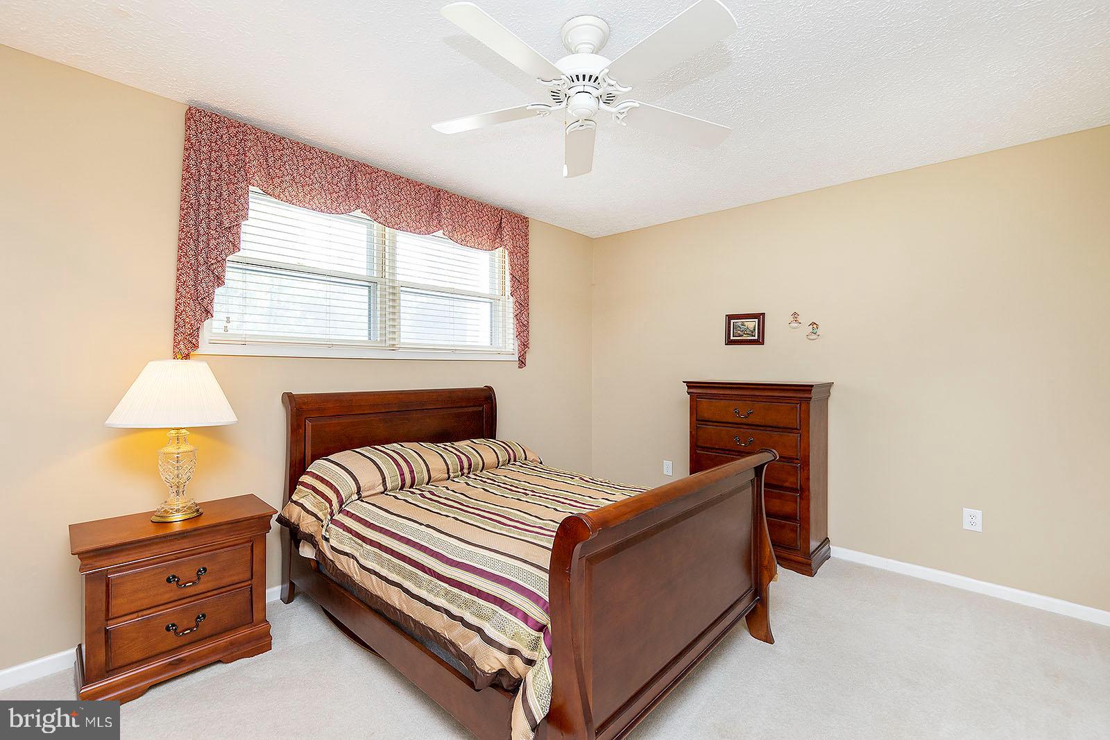 127 Stonebrook Road Winchester, VA 22602 - Photo 33 of 64 Lower level bedroom 3