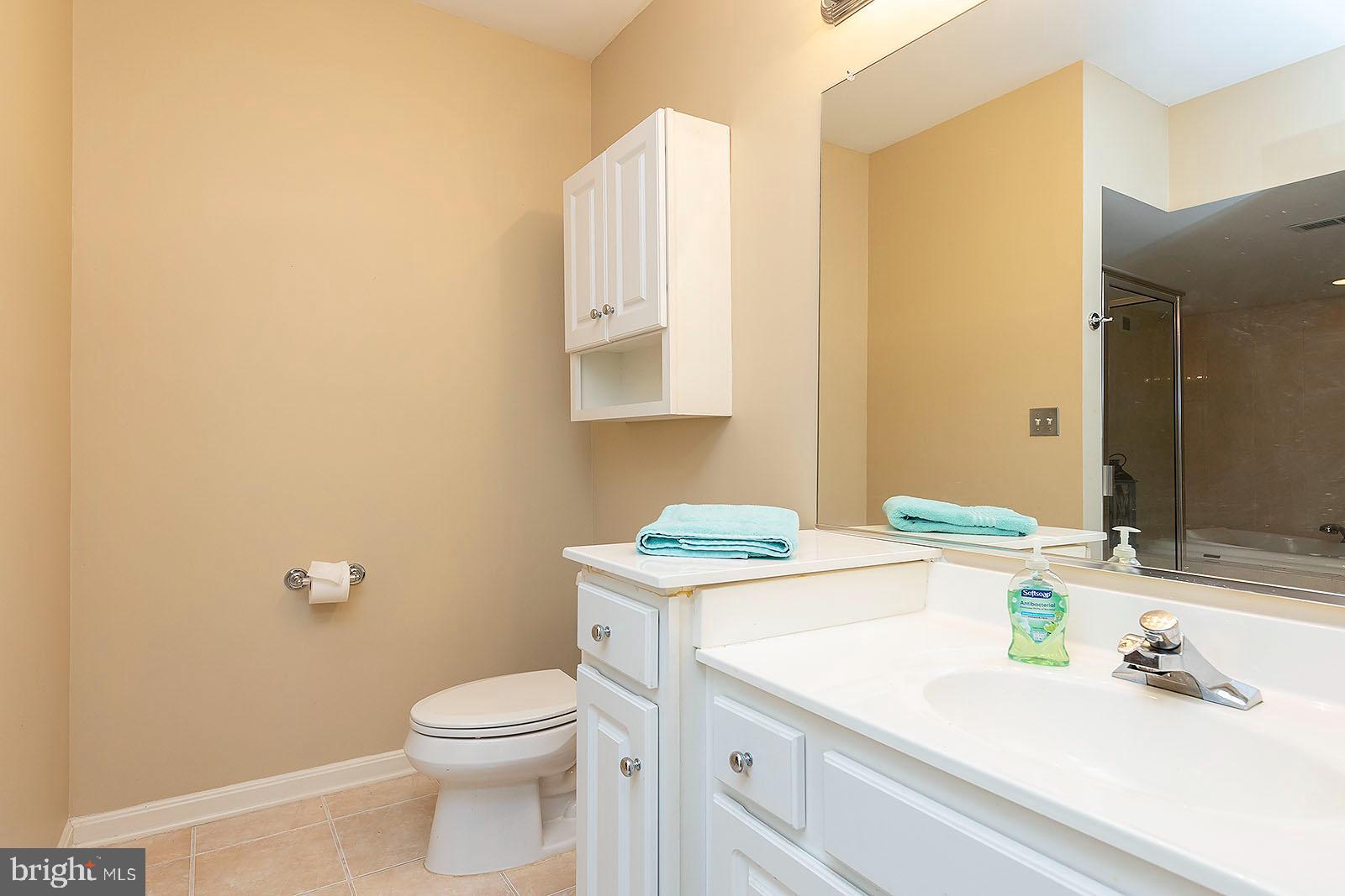 127 Stonebrook Road Winchester, VA 22602 - Photo 35 of 64 Lower level full bath