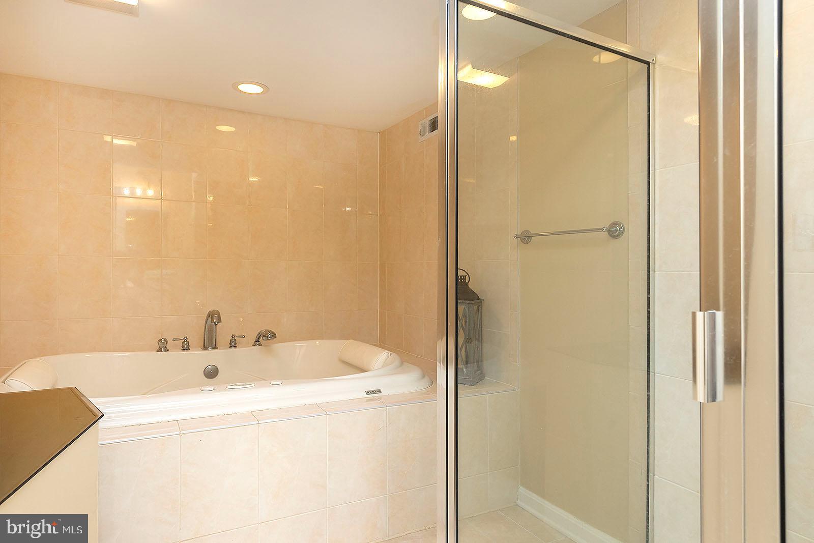 127 Stonebrook Road Winchester, VA 22602 - Photo 36 of 64 Soaking tub & separate shower