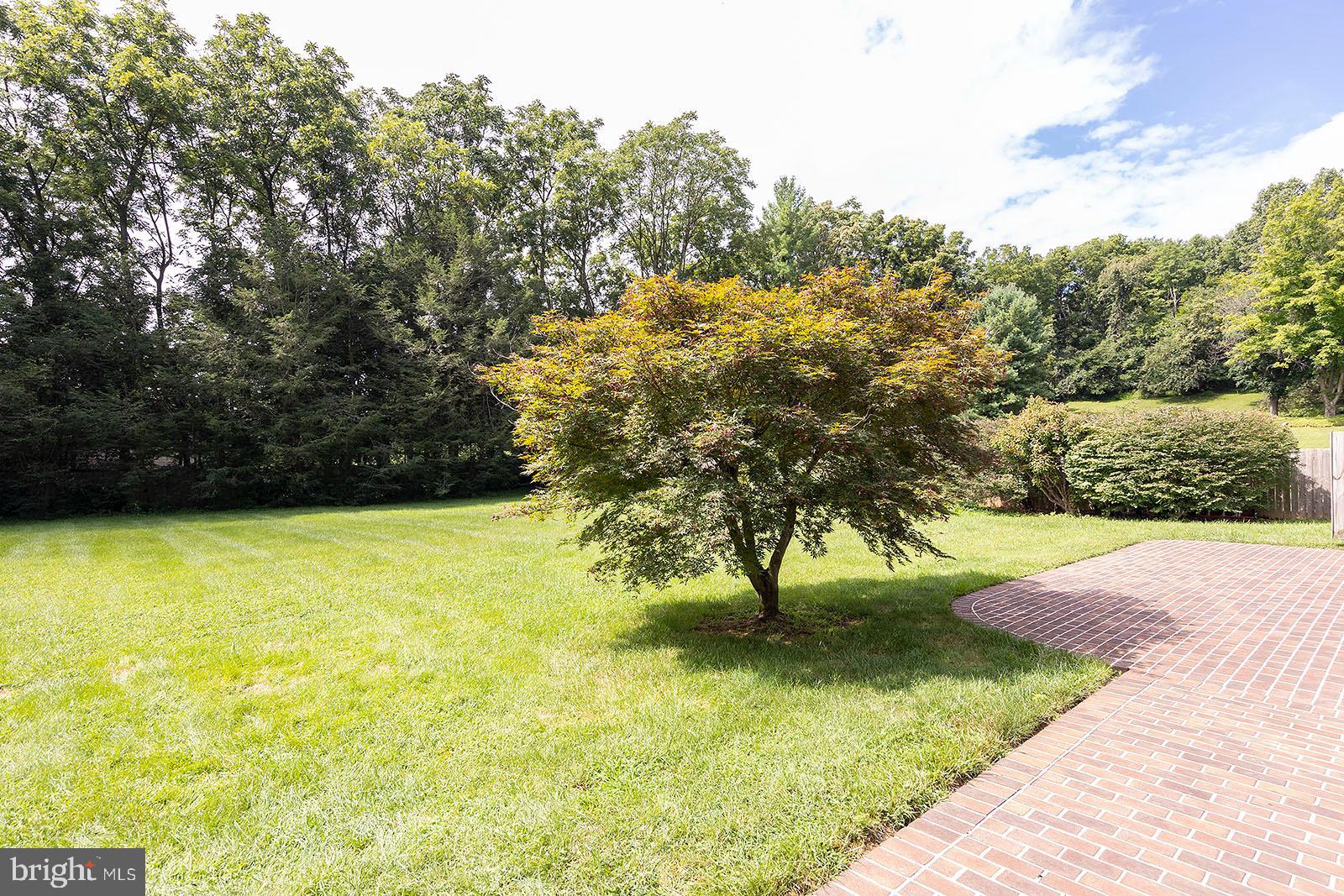 127 Stonebrook Road Winchester, VA 22602 - Photo 48 of 64 Backs to trees